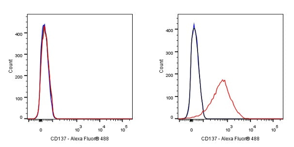 Rabbit Anti-Mouse CD137 Antibody (S-547-3)