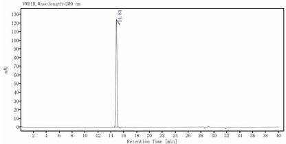 IL-17A Protein, Human