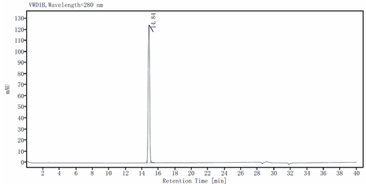 IL-17A Protein, Human