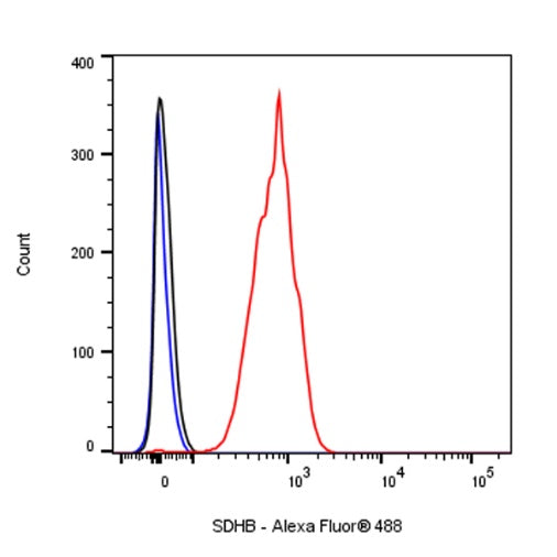 SDHB Recombinant Rabbit mAb (SDT-1162-2)