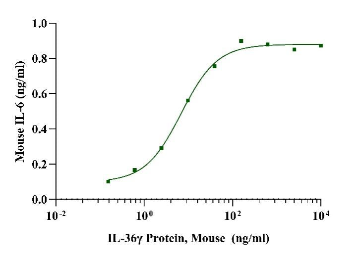 IL-36γ Protein, Mouse