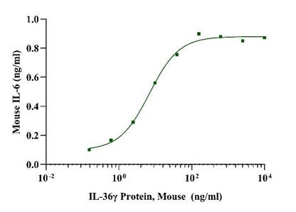 IL-36γ Protein, Mouse