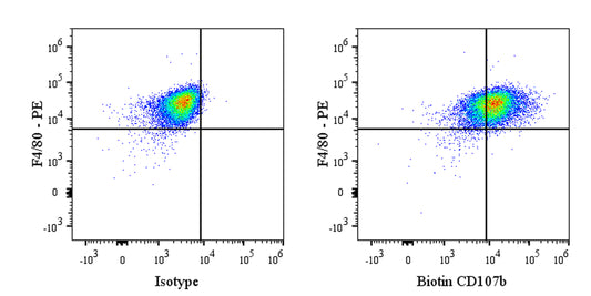 Biotin Rat Anti-Mouse CD107b Antibody (M3/84)