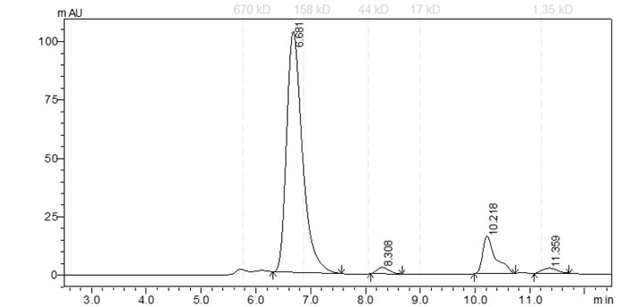 EPHA4 Protein