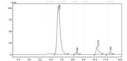 EPHA4 Protein
