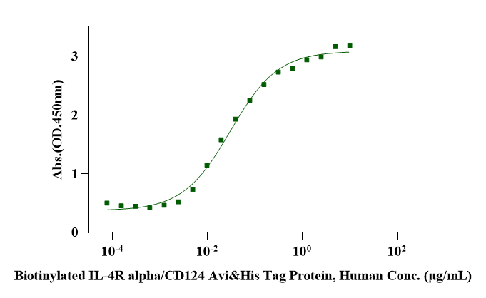 IL-4 Protein, Human