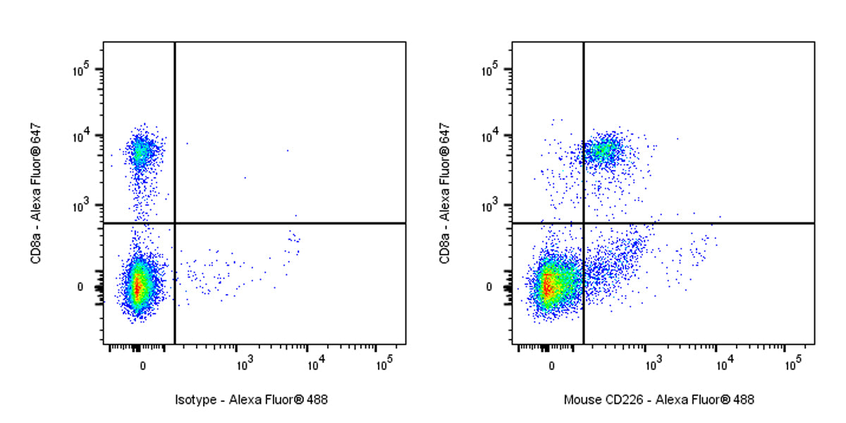 Rat Anti-Mouse CD226 Antibody (S-R625)