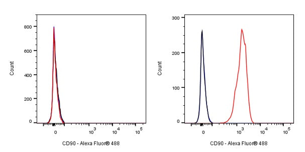 Mouse anti-Human CD90 Antibody (5E10)