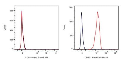 Mouse anti-Human CD90 Antibody (5E10)