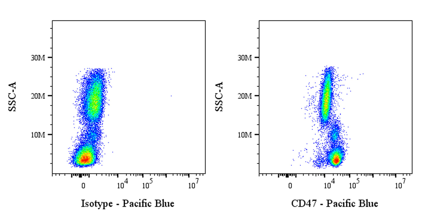 Pacific Blue Mouse Anti-Human CD47 Antibody (B6H12)
