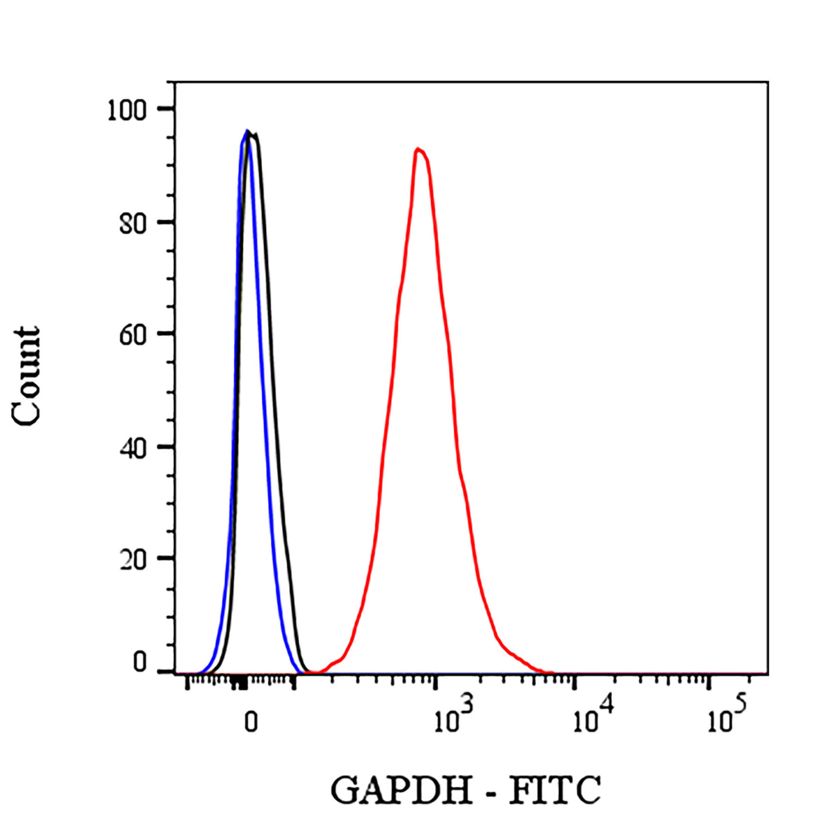 GAPDH Recombinant Rabbit mAb (FITC Conjugate) (S-240-147)