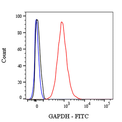 GAPDH Recombinant Rabbit mAb (FITC Conjugate) (S-240-147)