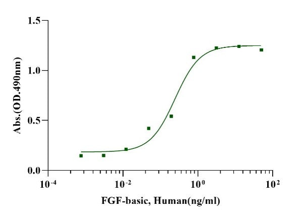 FGF-basic(154aa) Protein, Human