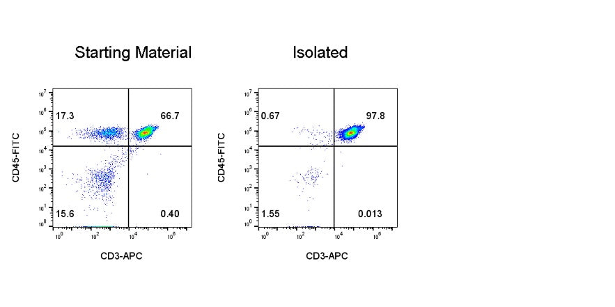 Human T Cell Isolation Kit (Column-Based)