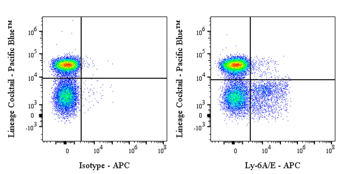 APC Rat Anti-Mouse Ly-6A/E Antibody (D7)