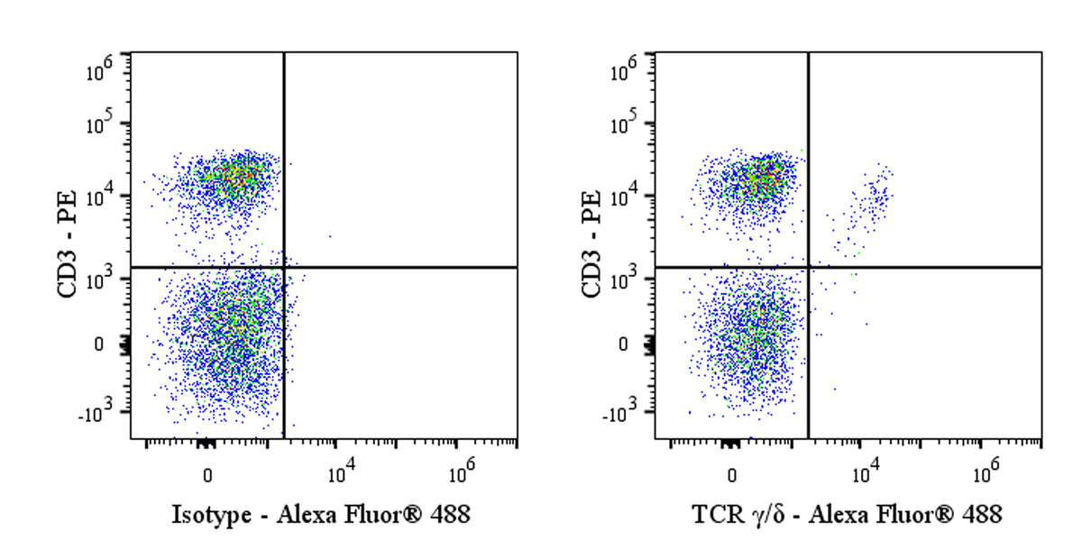 Alexa Fluor® 488 Mouse Anti-Rat TCR γ/δ Antibody (V65)