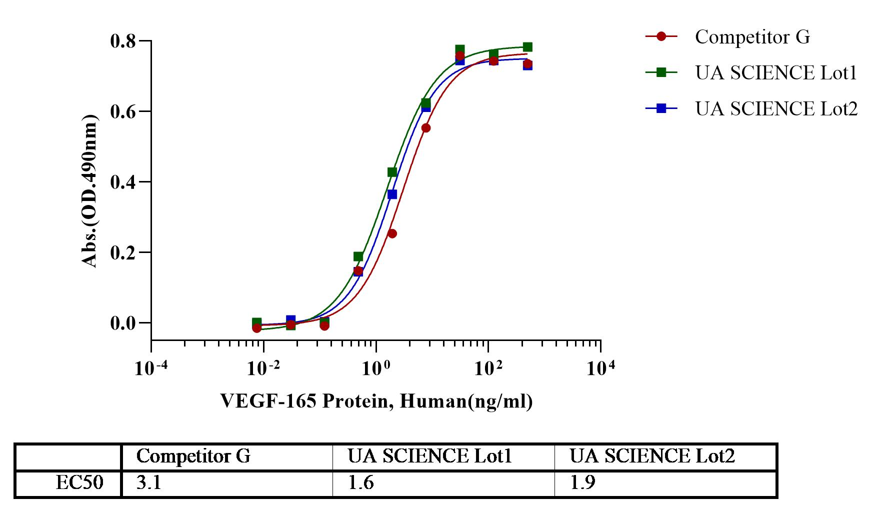 VEGF165 Protein, Human