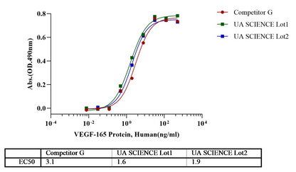 VEGF165 Protein, Human