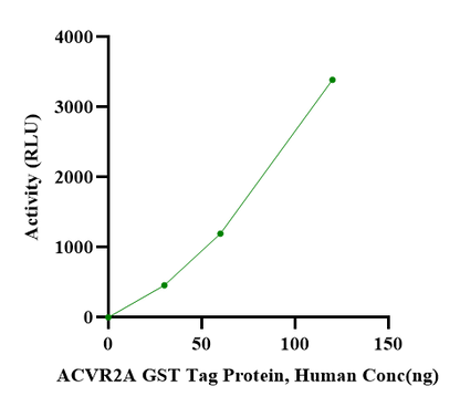 ACVR2A GST Tag Protein, Human