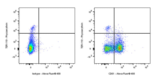 Armenian hamster Anti-Mouse/Rat CD61 Antibody (2C9.G2)