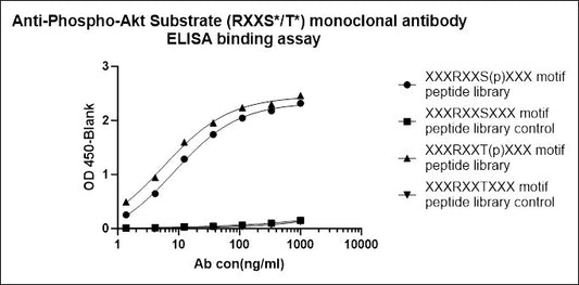 Phospho-Akt Substrate (RXXS*/T*) Recombinant Rabbit mAb (S-2669-104)
