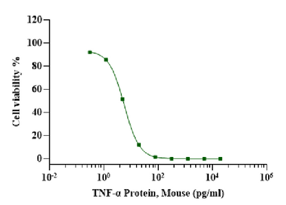 TNF-α Protein, Mouse