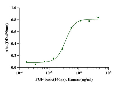 FGF-basic(146aa) Protein, Human