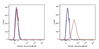 S-RMab® CD79B Recombinant Rabbit mAb (SDT-R513)