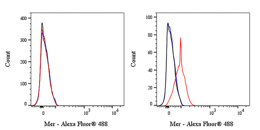 Mouse Anti-Human Mer Antibody (S-4830)