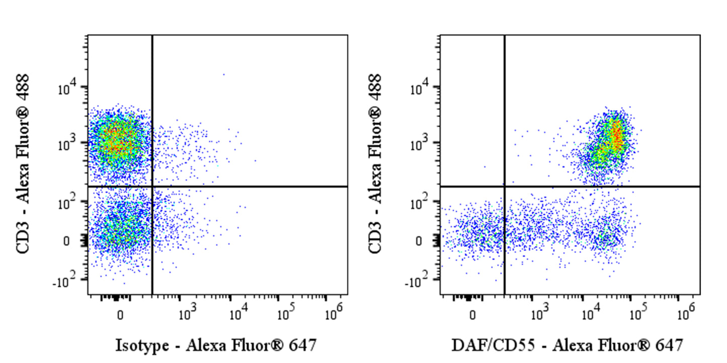 Alexa Fluor® 647 Mouse Anti-Human DAF/CD55 Antibody (S-628-48)