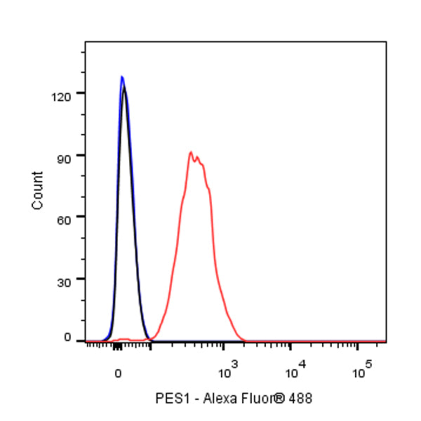 PES1 Recombinant Rat mAb (SDT-R197)