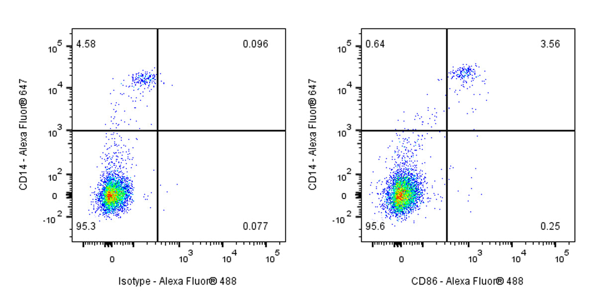 CD86 Recombinant Rabbit mAb (S-990-1)