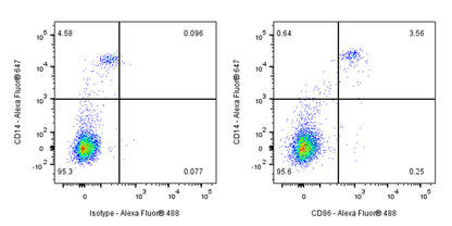 CD86 Recombinant Rabbit mAb (S-990-1)