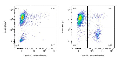 Mouse TER-119/Erythroid Cells Recombinant Rat mAb (TER-119)