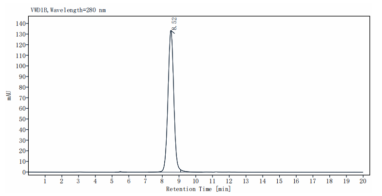IL-13 R alpha 1 His Tag Protein, Mouse