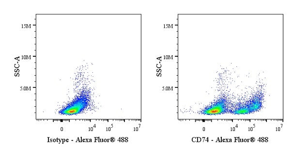 CD74 Recombinant Rabbit mAb (S-4524-58)