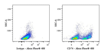CD74 Recombinant Rabbit mAb (S-4524-58)