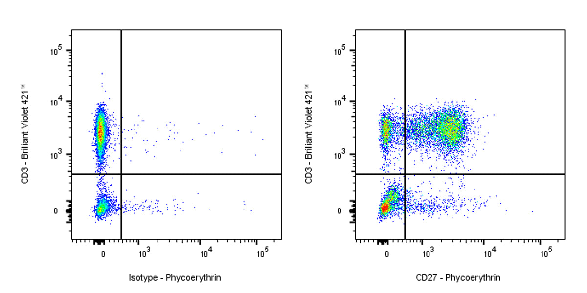 PE Armenian hamster Anti-Mouse/Rat/Human CD27 Antibody (S-R620)