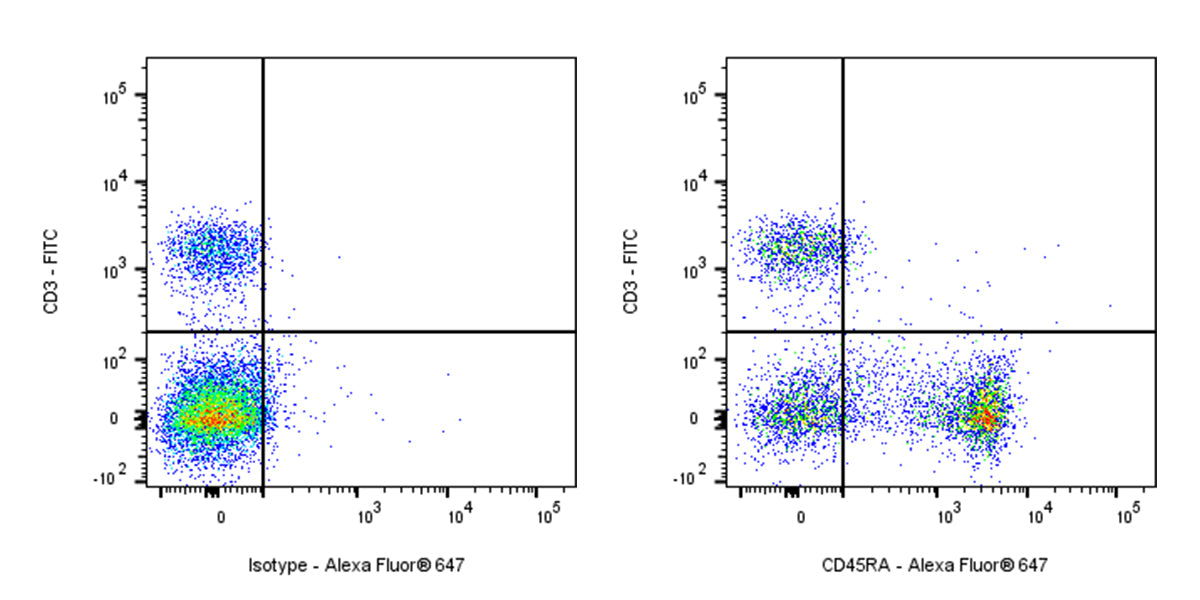 Alexa Fluor® 647 Mouse Anti-Rat CD45RA Antibody (OX-33)