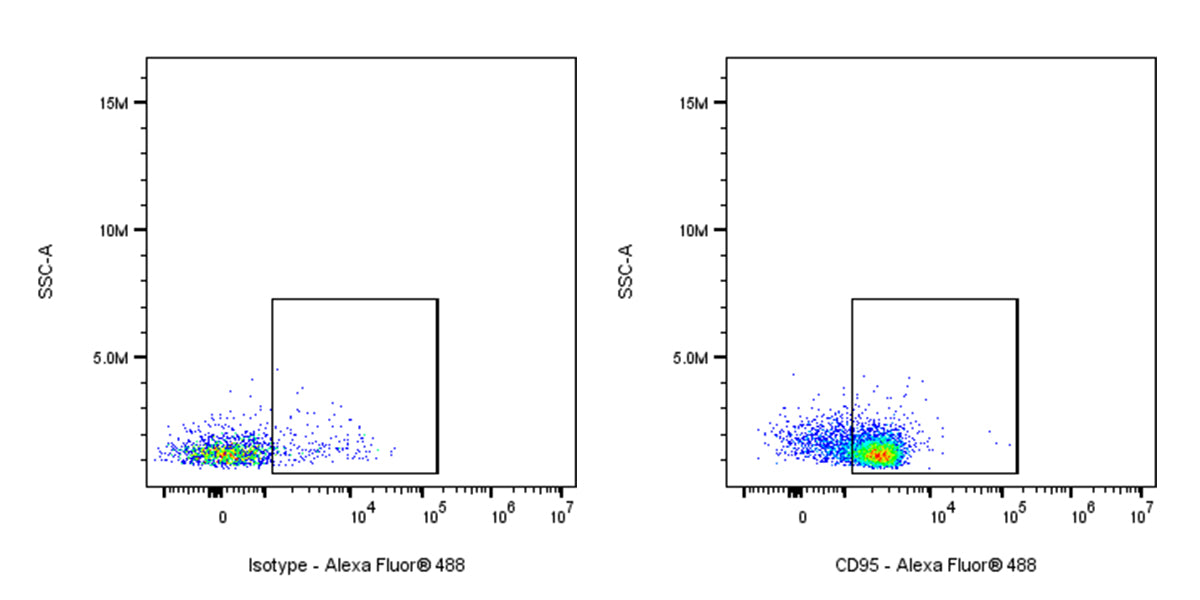 Alexa Fluor® 488 Armenian hamster Anti-Mouse CD95 Antibody (S-R535)