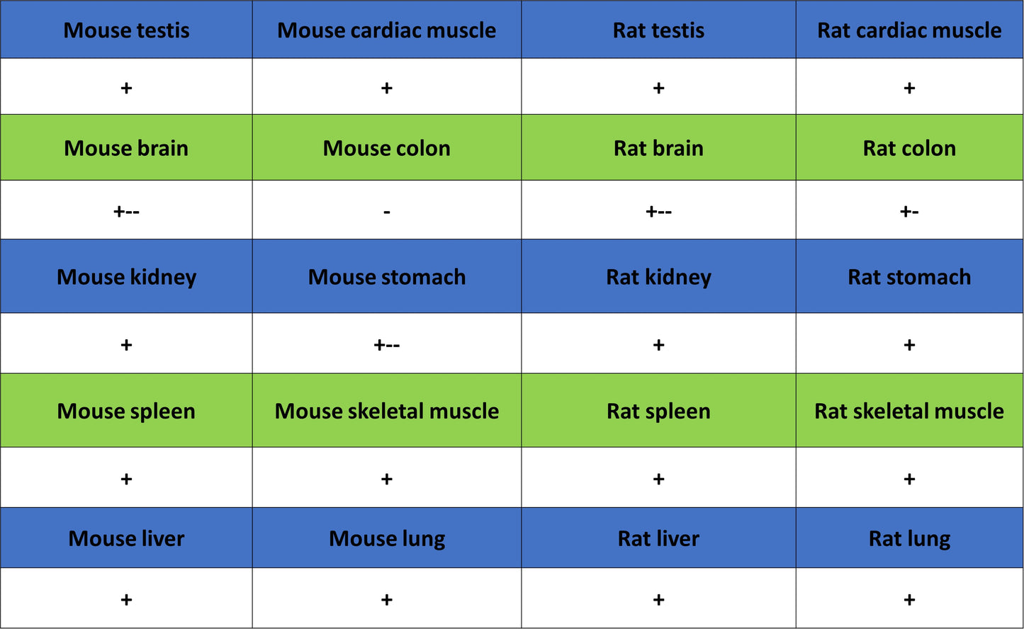 C3 Recombinant Rabbit mAb (S-5146)