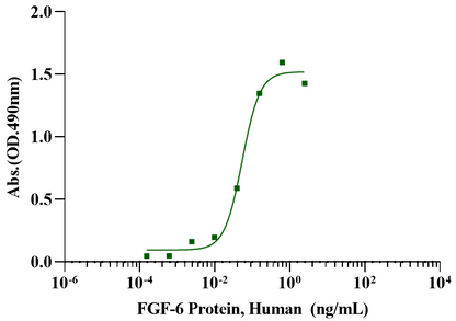 FGF-6 Protein, Human