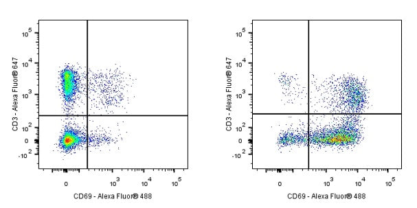 Armenian hamster Anti-Mouse CD69 Antibody (H1.2F3)