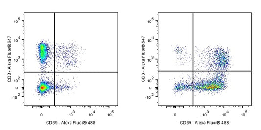 Armenian hamster Anti-Mouse CD69 Antibody (H1.2F3)