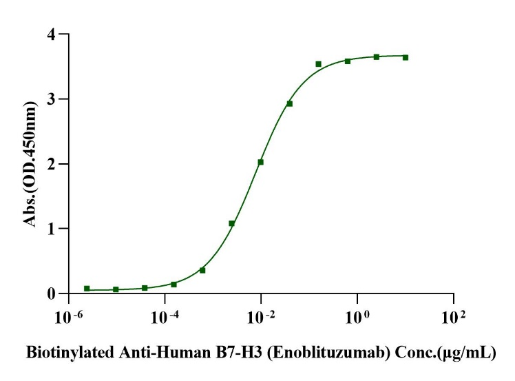 B7-H3 (4 Ig)/B7-H3b Fc Chimera Protein, Human