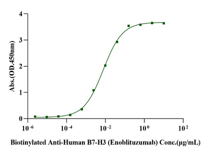 B7-H3 (4 Ig)/B7-H3b Fc Chimera Protein, Human