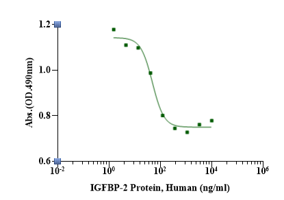 IGFBP-2 Protein, Human