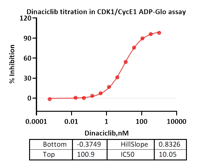 CDK1/CycE1 Protein