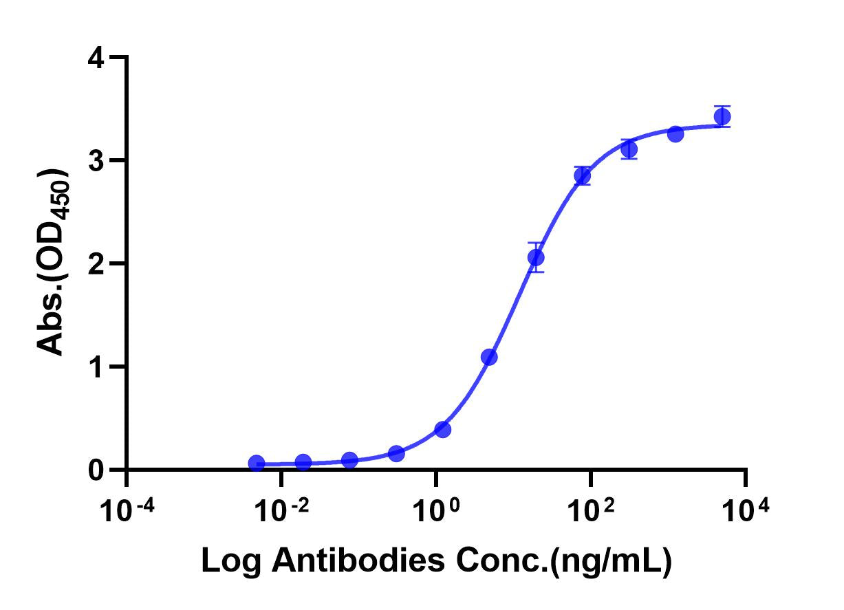 Anti-Human PD1 Monoclonal Antibody (Tislelizumab)(S228P/E233P/F234V/L235A/D265A)