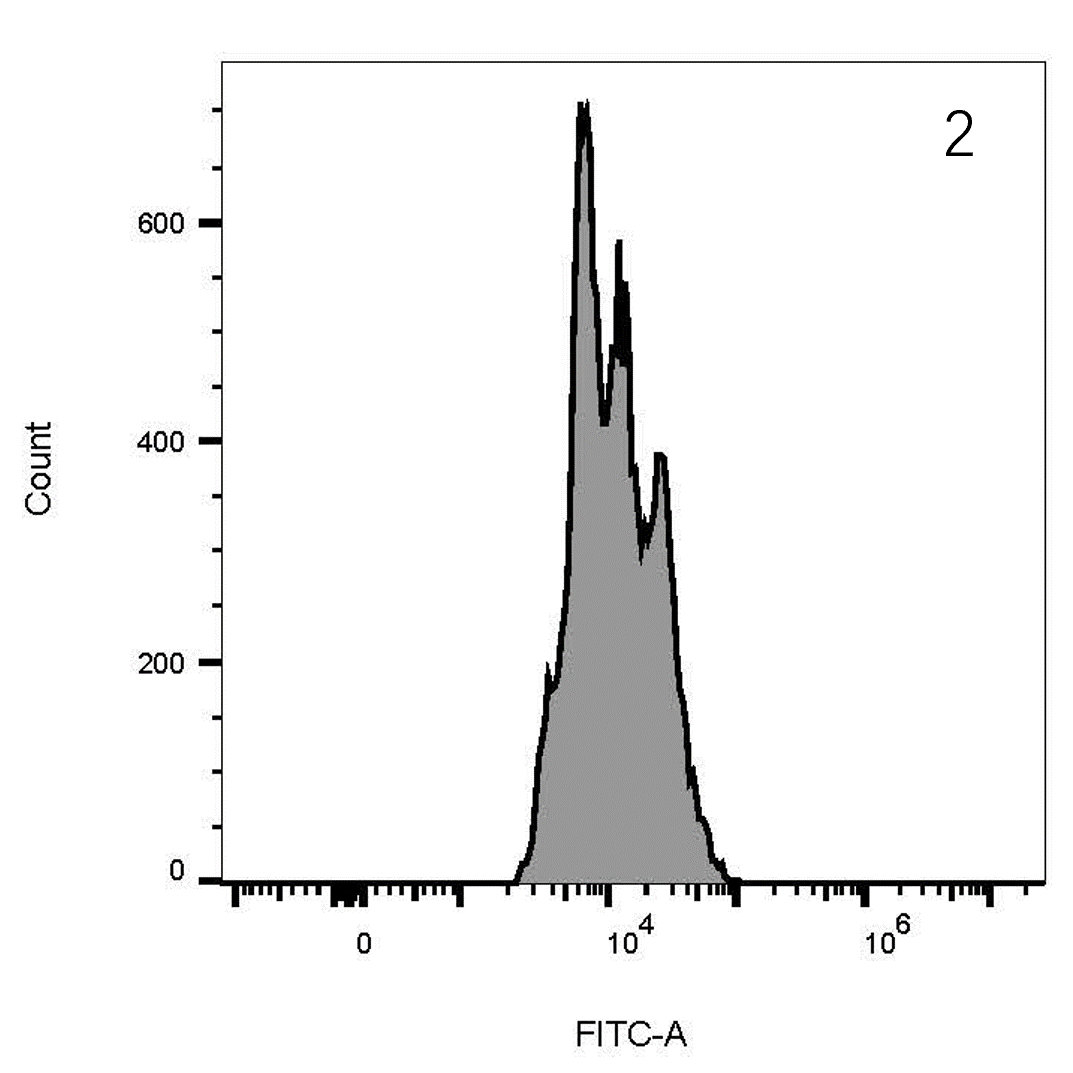 NA/LE Mouse anti-human CD28 mAb